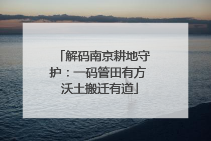 解码南京耕地守护：一码管田有方 沃土搬迁有道