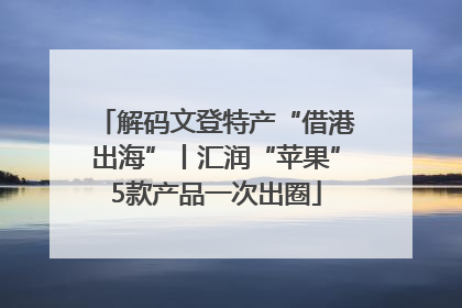 解码文登特产“借港出海”丨汇润“苹果”5款产品一次出圈