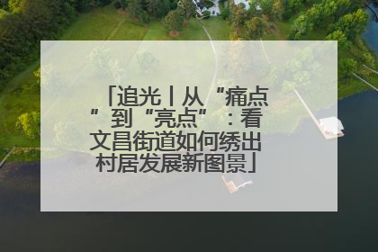 追光丨从“痛点”到“亮点”：看文昌街道如何绣出村居发展新图景