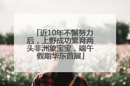 近10年不懈努力后，上野成功繁育两头非洲象宝宝，端午假期华东首展