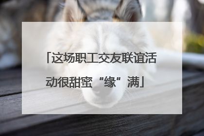 这场职工交友联谊活动很甜蜜“缘”满