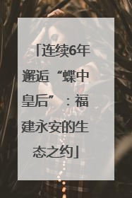 连续6年邂逅“蝶中皇后”：福建永安的生态之约