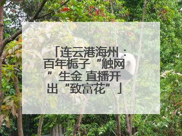 连云港海州：百年栀子“触网”生金 直播开出“致富花”