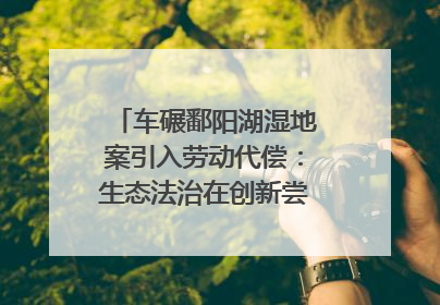 车碾鄱阳湖湿地案引入劳动代偿：生态法治在创新尝试｜有一说一