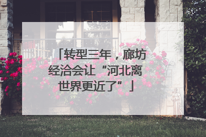 转型三年，廊坊经洽会让“河北离世界更近了”