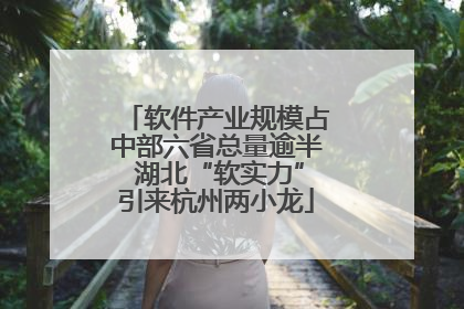 软件产业规模占中部六省总量逾半 湖北“软实力”引来杭州两小龙