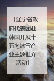 辽宁省政府代表团赴韩国开展十五冬冰雪产业主题推介活动