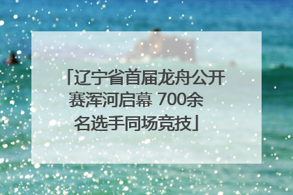 辽宁省首届龙舟公开赛浑河启幕 700余名选手同场竞技