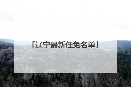 辽宁最新任免名单