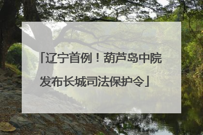 辽宁首例！葫芦岛中院发布长城司法保护令