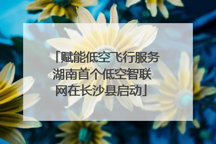 赋能低空飞行服务 湖南首个低空智联网在长沙县启动