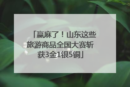 赢麻了！山东这些旅游商品全国大赛斩获3金1银5铜