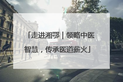 走进湘鄂｜领略中医智慧，传承医道薪火