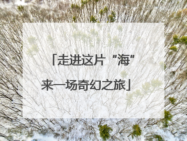走进这片“海”来一场奇幻之旅