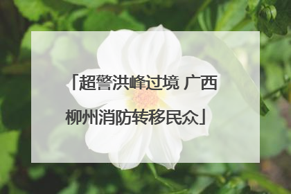 超警洪峰过境 广西柳州消防转移民众