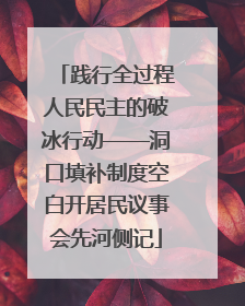 践行全过程人民民主的破冰行动——洞口填补制度空白开居民议事会先河侧记