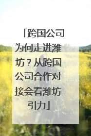 跨国公司为何走进潍坊？从跨国公司合作对接会看潍坊引力