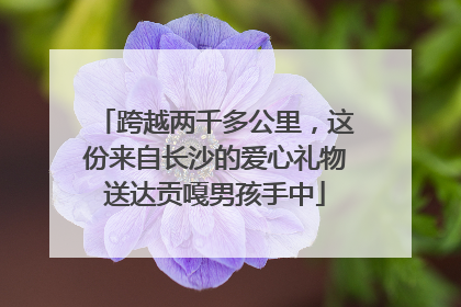 跨越两千多公里，这份来自长沙的爱心礼物送达贡嘎男孩手中