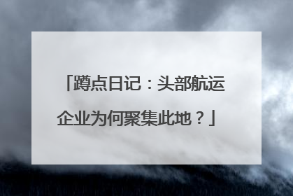 蹲点日记：头部航运企业为何聚集此地？