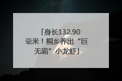 身长132.90毫米！桐乡养出“巨无霸”小龙虾