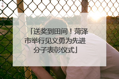 送奖到田间！菏泽市举行见义勇为先进分子表彰仪式