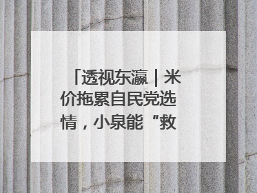 透视东瀛｜米价拖累自民党选情，小泉能“救”石破茂吗