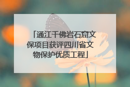 通江千佛岩石窟文保项目获评四川省文物保护优质工程