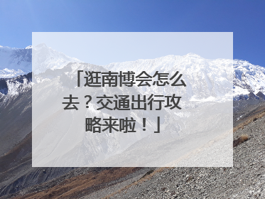 逛南博会怎么去？交通出行攻略来啦！