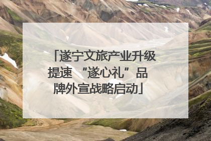 遂宁文旅产业升级提速 “遂心礼”品牌外宣战略启动