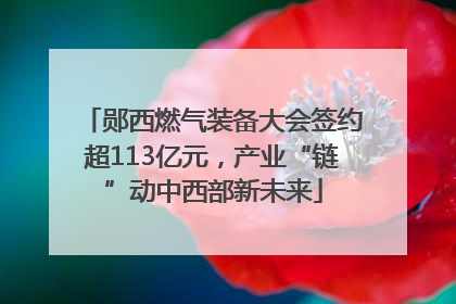 郧西燃气装备大会签约超113亿元，产业“链”动中西部新未来