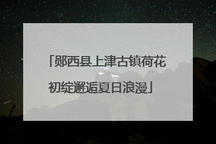 郧西县上津古镇荷花初绽邂逅夏日浪漫