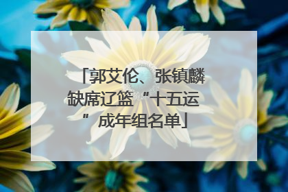 郭艾伦、张镇麟缺席辽篮“十五运”成年组名单