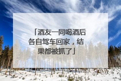 酒友一同喝酒后各自驾车回家，结果都被抓了