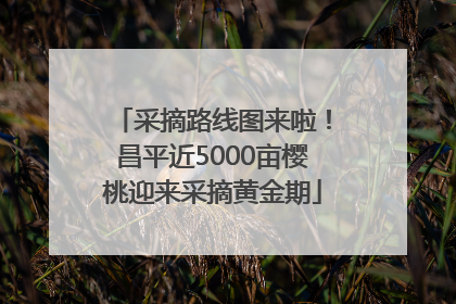 采摘路线图来啦！昌平近5000亩樱桃迎来采摘黄金期