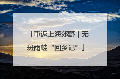 重返上海郊野｜无斑雨蛙“回乡记”