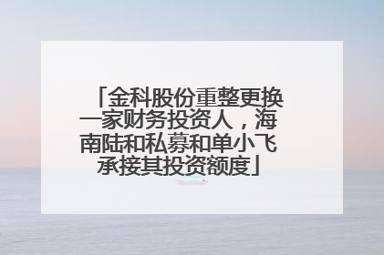 金科股份重整更换一家财务投资人，海南陆和私募和单小飞承接其投资额度
