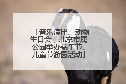 音乐演出、动物生日会，北京市属公园举办端午节、儿童节游园活动