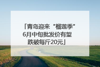 青岛迎来“榴莲季” 6月中旬批发价有望跌破每斤20元