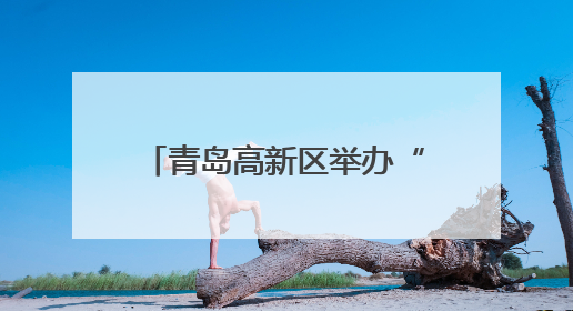 青岛高新区举办“清风拂端午 正气润童心”主题活动