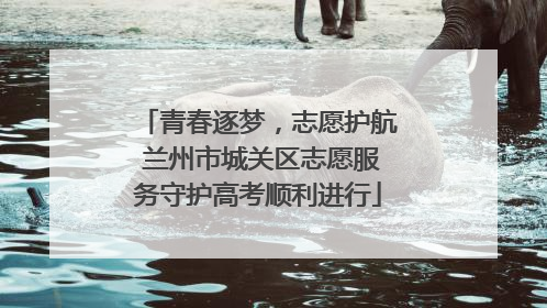 青春逐梦，志愿护航 兰州市城关区志愿服务守护高考顺利进行