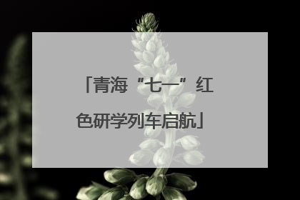 青海“七一”红色研学列车启航