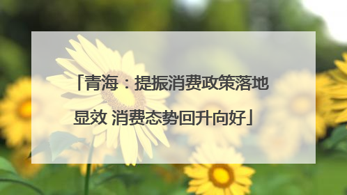青海：提振消费政策落地显效 消费态势回升向好