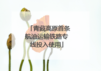 青藏高原首条航油运输铁路专线投入使用