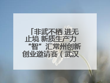 非武不栖 进无止境 新质生产力“智”汇常州创新创业邀请赛（武汉站）圆满举办