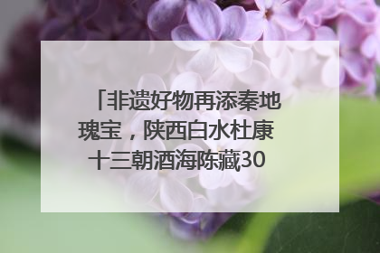 非遗好物再添秦地瑰宝，陕西白水杜康十三朝酒海陈藏30年别具一格