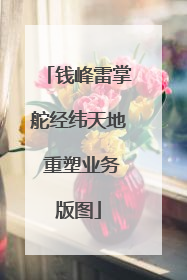 钱峰雷掌舵经纬天地 重塑业务版图