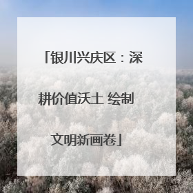 银川兴庆区：深耕价值沃土 绘制文明新画卷