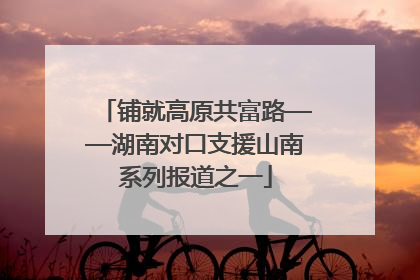 铺就高原共富路——湖南对口支援山南系列报道之一