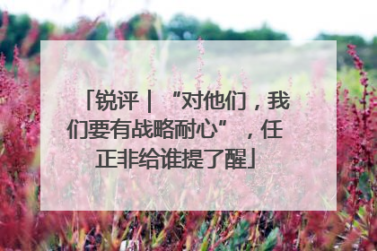 锐评｜“对他们，我们要有战略耐心”，任正非给谁提了醒