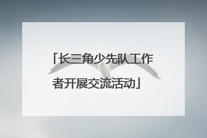 长三角少先队工作者开展交流活动